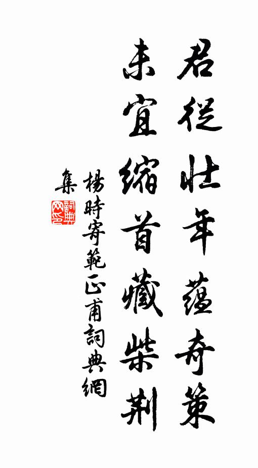 杨时君从壮年蕴奇策，未宜缩首藏柴荆书法作品欣赏