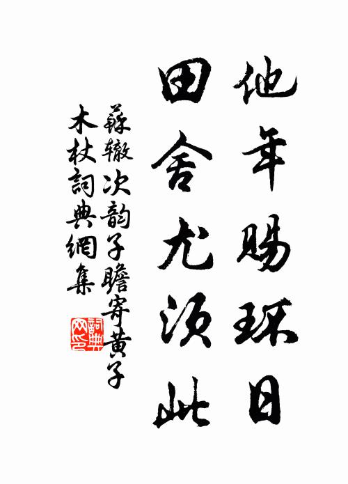 苏辙他年赐环日，田舍尤须此书法作品欣赏