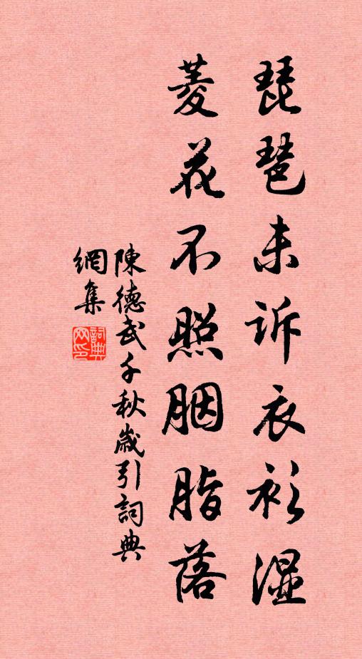 陈德武琵琶未诉衣衫湿，菱花不照胭脂落书法作品欣赏