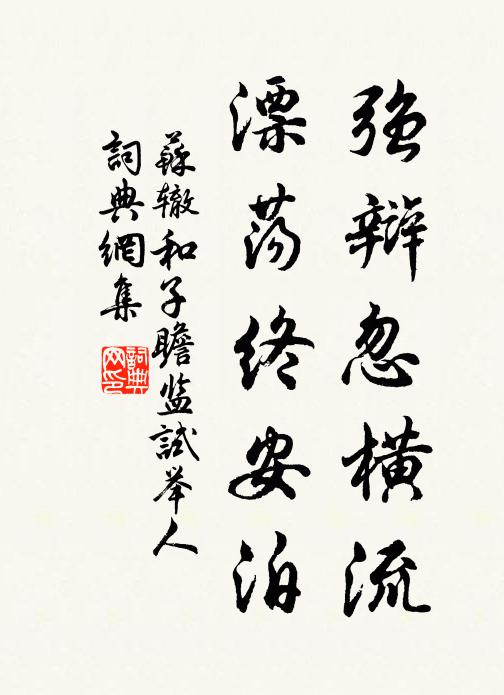 苏辙强辩忽横流，漂荡终安泊书法作品欣赏