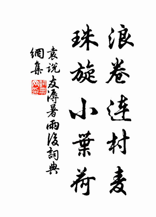 袁说友浪卷连村麦，珠旋小叶荷书法作品欣赏