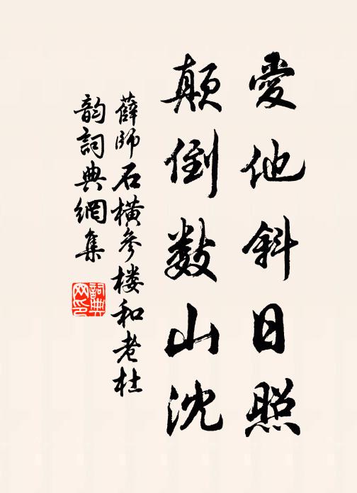 薛师石爱他斜日照，颠倒数山沈书法作品欣赏