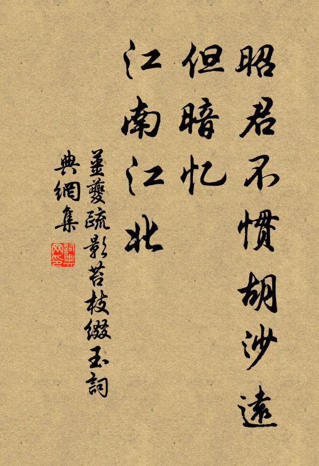 姜夔昭君不惯胡沙远，但暗忆、江南江北书法作品欣赏