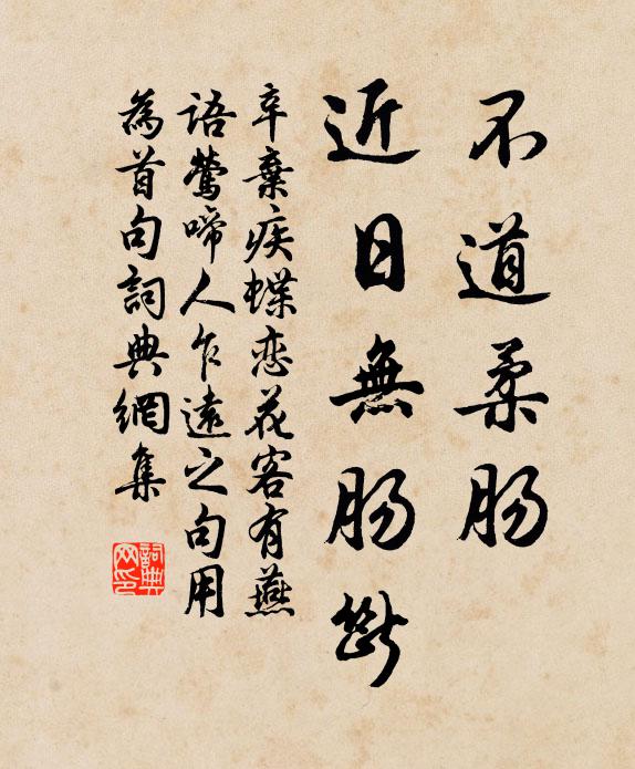 辛弃疾不道柔肠,近日无肠断书法作品欣赏
