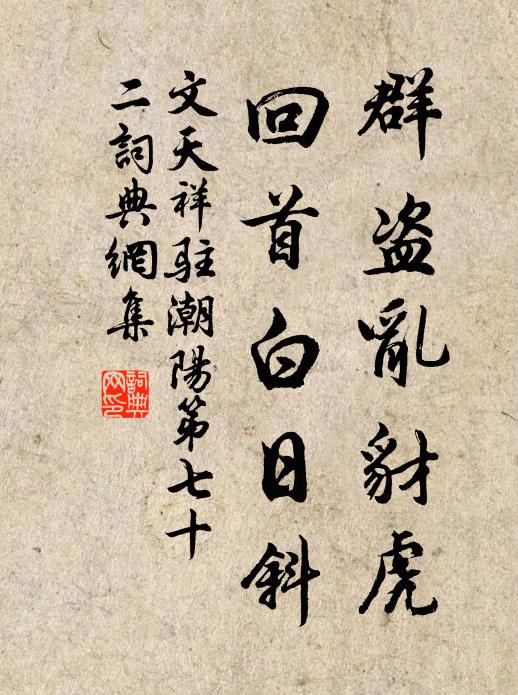 文天祥群盗乱豺虎，回首白日斜书法作品欣赏