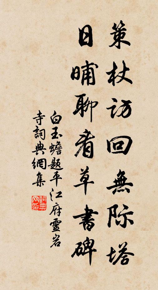 白玉蟾策杖访回无际塔，日晡聊看草书碑书法作品欣赏