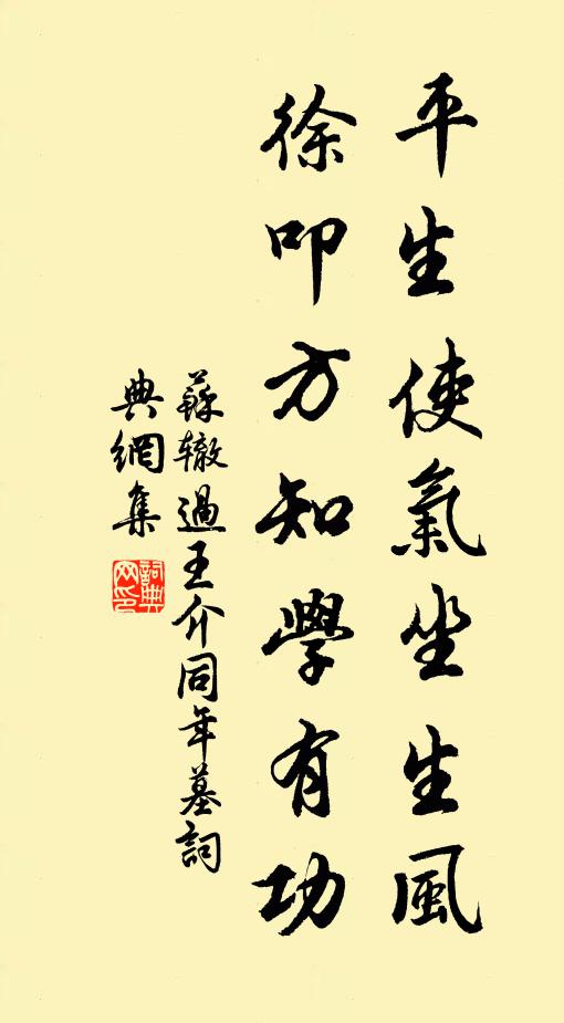 苏辙平生使气坐生风，徐叩方知学有功书法作品欣赏