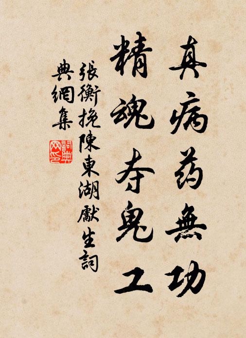 张衡真病药无功，精魂夺鬼工书法作品欣赏