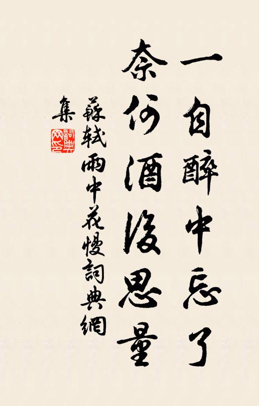 苏轼一自醉中忘了,奈何酒后思量书法作品欣赏
