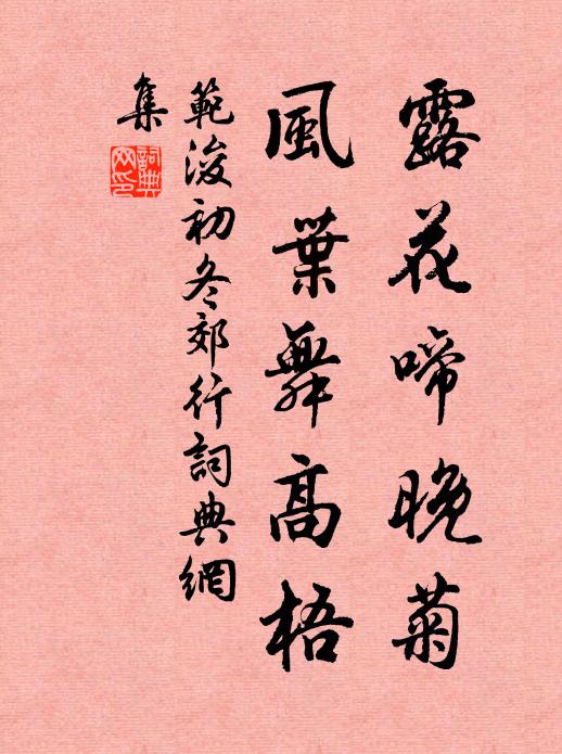 范浚露花啼晚菊，风叶舞高梧书法作品欣赏