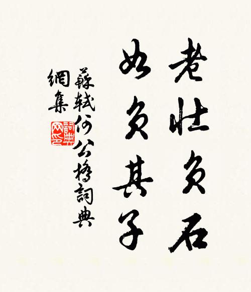 苏轼老壮负石，如负其子书法作品欣赏