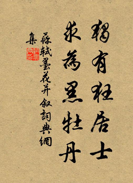 苏轼独有狂居士，求为黑牡丹书法作品欣赏
