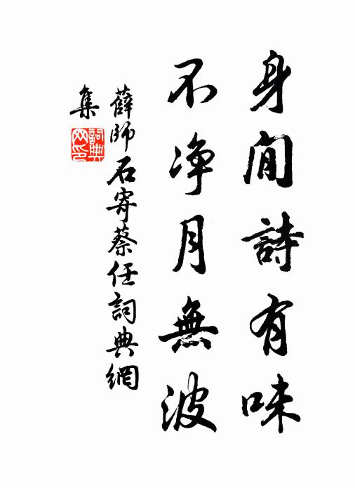 薛师石身閒诗有味，不净月无波书法作品欣赏