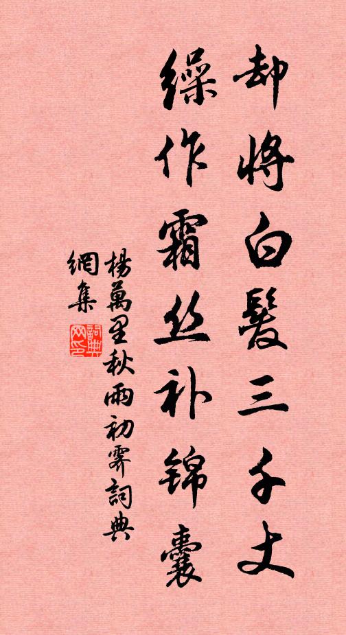 杨万里却将白发三千丈，缲作霜丝补锦囊书法作品欣赏