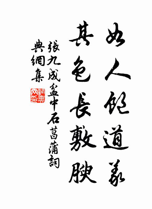 张九成如人饱道义，其色长敷腴书法作品欣赏