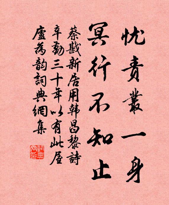 蔡戡忧责丛一身，冥行不知止书法作品欣赏