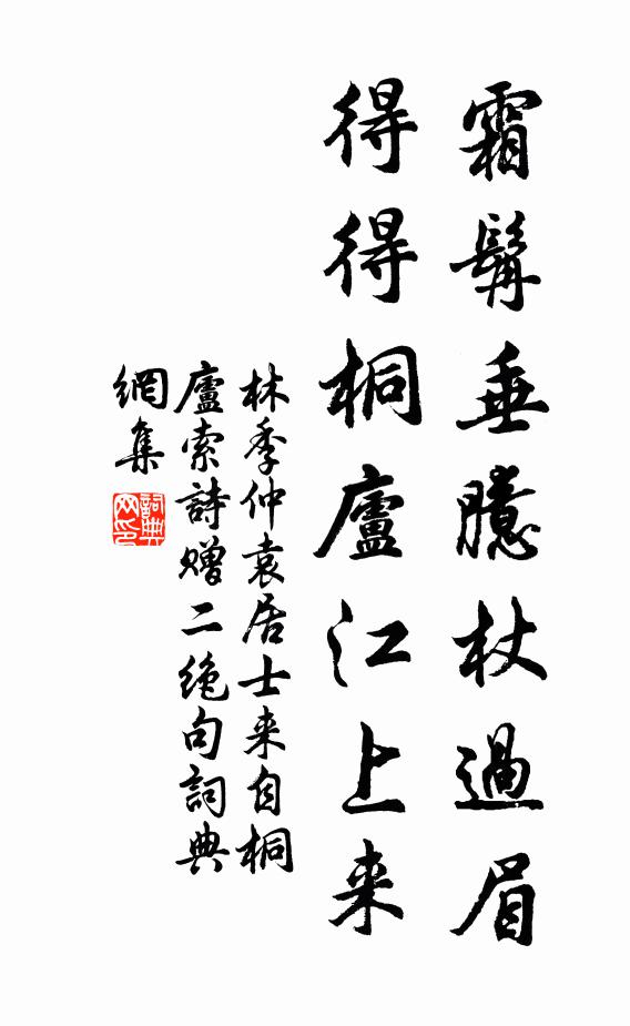 林季仲霜髯垂臆杖过眉，得得桐庐江上来书法作品欣赏