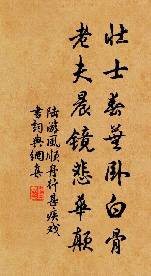 陆游壮士春芜卧白骨，老夫晨镜悲华颠书法作品欣赏