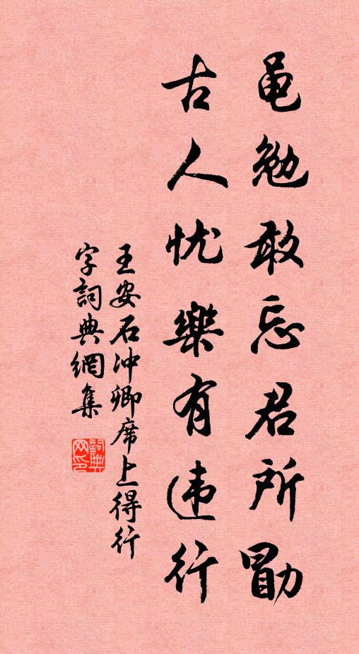 王安石黾勉敢忘君所勖，古人忧乐有违行书法作品欣赏