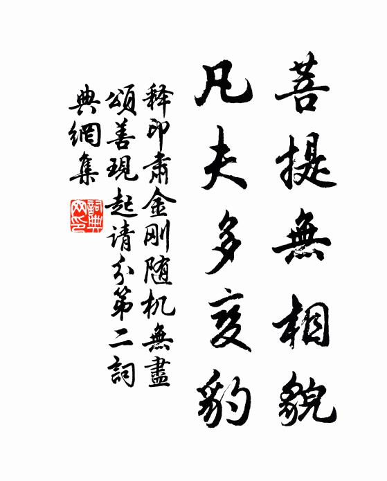 释印肃菩提无相貌，凡夫多变豹书法作品欣赏