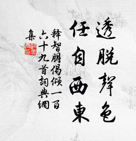 释智朋透脱声色，任自西东书法作品欣赏