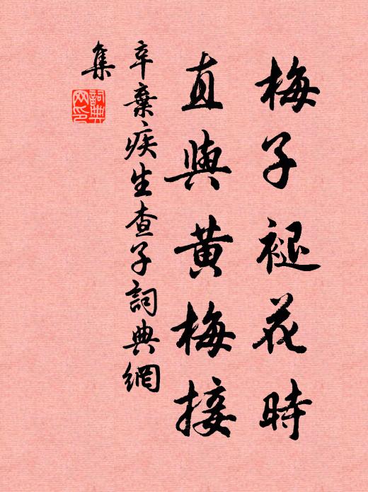 辛弃疾梅子褪花时，直与黄梅接书法作品欣赏