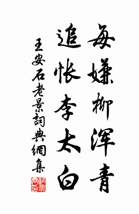 王安石每嫌柳浑青，追怅李太白书法作品欣赏