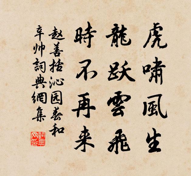 赵善括虎啸风生，龙跃云飞，时不再来书法作品欣赏