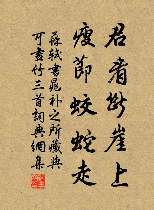 苏轼君看断崖上，瘦节蛟蛇走书法作品欣赏