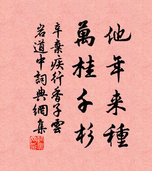 辛弃疾他年来种，万桂千杉书法作品欣赏