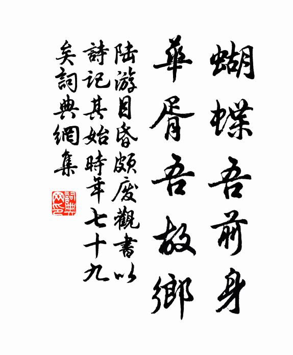 陆游蝴蝶吾前身，华胥吾故乡书法作品欣赏