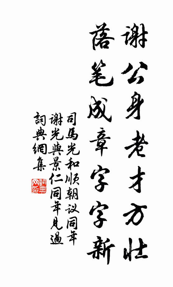 司马光谢公身老才方壮，落笔成章字字新书法作品欣赏