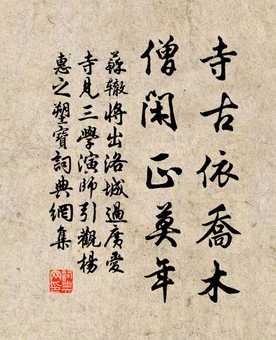 苏辙寺古依乔木，僧闲正莫年书法作品欣赏