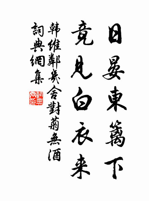 韩维日晏东篱下，竟见白衣来书法作品欣赏