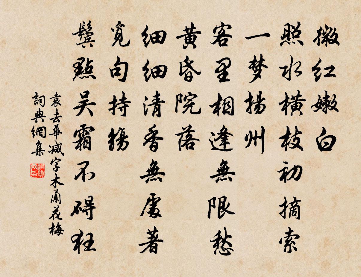 袁去华减字木兰花（梅）书法作品欣赏